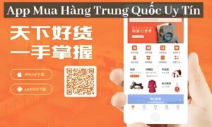 top-5-ung-dung-mua-hang-taobao-tieng-viet-uy-tin-nhat-2024