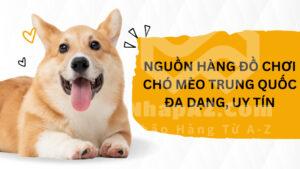 Nguồn hàng đồ chơi chó mèo Trung Quốc đa dạng, uy tín
