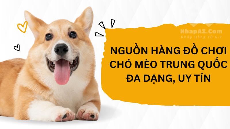 Nguồn hàng đồ chơi chó mèo Trung Quốc đa dạng, uy tín Nguồn hàng đồ chơi chó mèo Trung Quốc đa dạng, uy tín