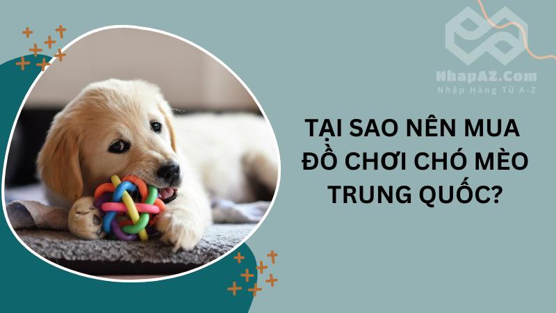 Nguồn hàng đồ chơi chó mèo Trung Quốc đa dạng, uy tín Tại sao nên mua đồ chơi chó mèo Trung Quốc?