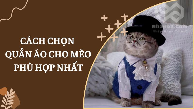 Địa chỉ mua quần áo cho mèo thời trang, uy tín Cách chọn quần áo cho mèo phù hợp nhất