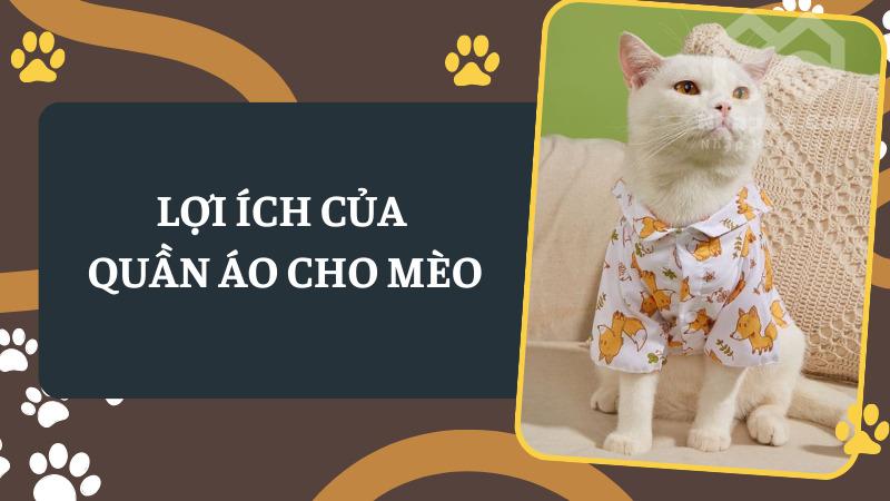 Địa chỉ mua quần áo cho mèo thời trang, uy tín Lợi ích của quần áo cho mèo