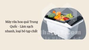Máy rửa hoa quả Trung Quốc - Làm sạch nhanh, loại bỏ tạp chất