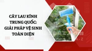 Cây lau kính Trung Quốc: Giải pháp vệ sinh toàn diện