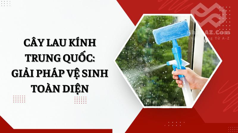 Cây lau kính Trung Quốc: Giải pháp vệ sinh toàn diện Cây lau kính Trung Quốc: Giải pháp vệ sinh toàn diện