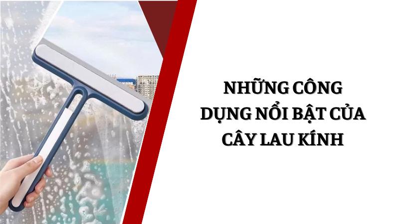 Cây lau kính Trung Quốc: Giải pháp vệ sinh toàn diện Những công dụng nổi bật của cây lau kính trong cuộc sống