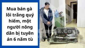 mua ban ga loi trang quy hiem mot nguoi nong dan bi tuyen an 6 nam tu
