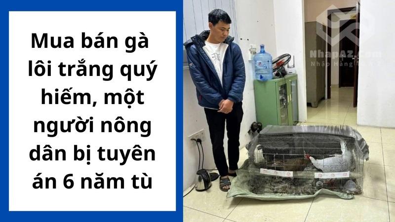 Mua bán gà lôi trắng quý hiếm, một người nông dân bị tuyên án 6 năm tù