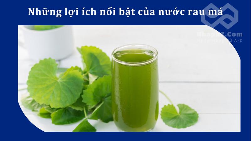 Những lợi ích nổi bật của nước rau má