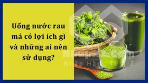 Uống nước rau má có lợi ích gì và những ai nên sử dụng?
