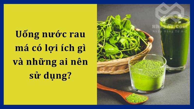 Uống nước rau má có lợi ích gì và những ai nên sử dụng?