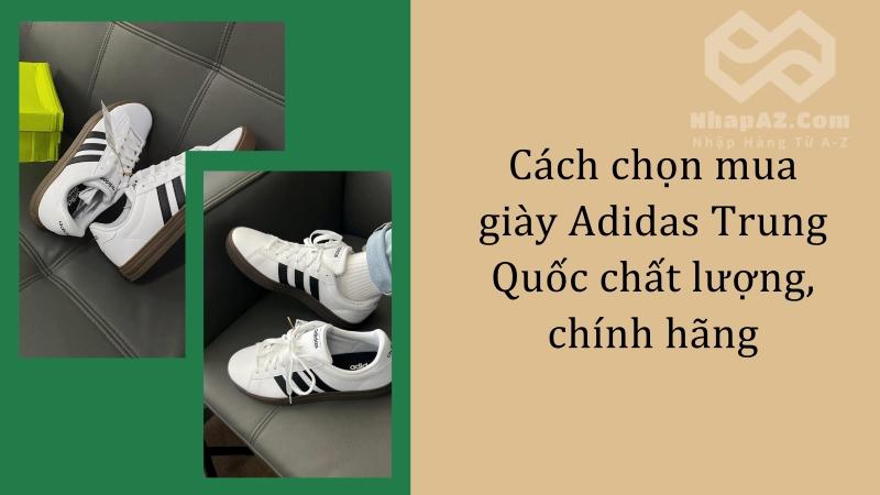 Cách chọn mua giày Adidas Trung Quốc chất lượng, chính hãng Cách chọn mua giày Adidas Trung Quốc chất lượng, chính hãng