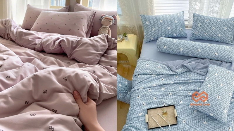 Chăn ga gối đệm vải bông (cotton 100%)