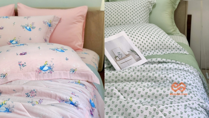 Chăn ga gối đệm modal